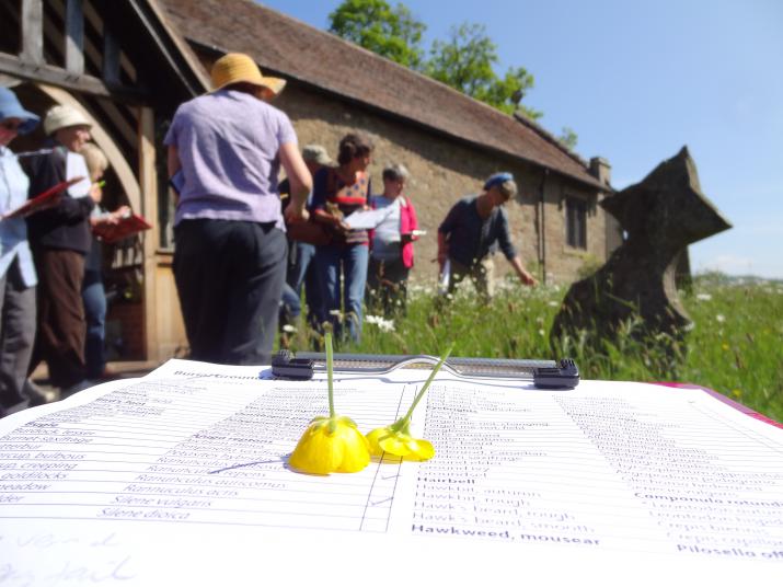 Grassland survey at St Mary’s churchyard, Whitton, Shropshire  (Credit: Author)