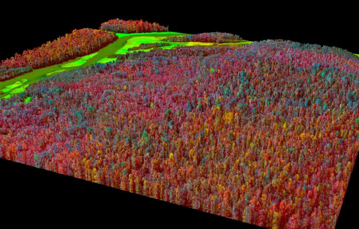 An image spectroscopy of the Amazon (Credit: CAO, Standford University) An image spectroscopy of the Amazon (Credit: CAO, Standford University)