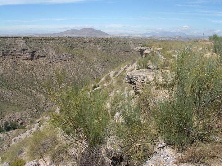 Spanish landscape (c) creative commons