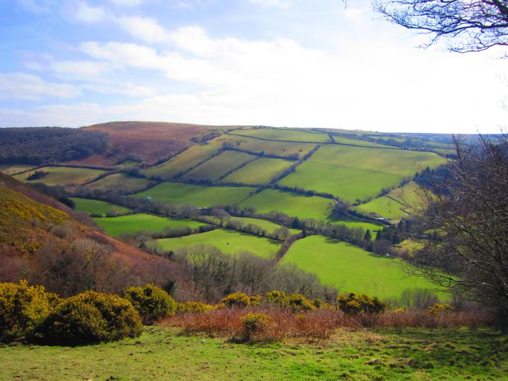 field patterns near Brendon, Devon (Credit: Chris McAuley, via geograph.com)