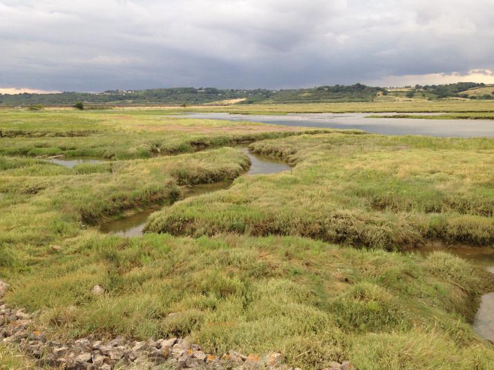 A salt-marsh landscape along the Thames Estuary in Essex (credit: Rosie Whicheloe)