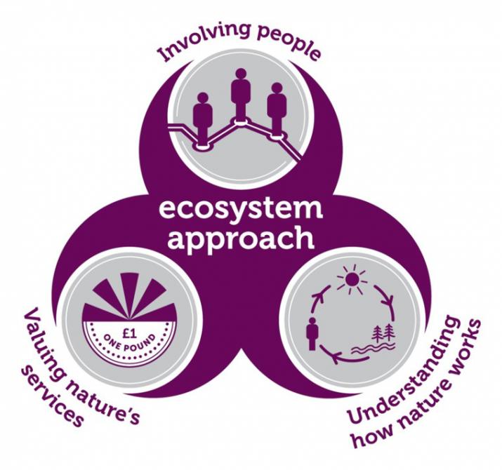 Ecosystem Service: Valuing nature's services, understanding how nature works and involving people (Credit: JNCC) Ecosystem Service: Valuing nature's services, understanding how nature works and involving people (Credit: JNCC)