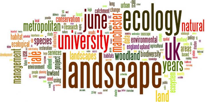 a wordle of the article (Credit: Author)