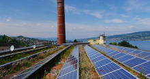 Tortoiseshell on a biosolar roof in southern Germany, photo credit: Optigreen International