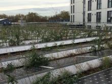 A not-so-well-designed north London biosolar roof, photo credit: Dusty Gedge