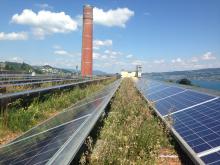 Tortoiseshell on a biosolar roof in southern Germany, photo credit: Optigreen International