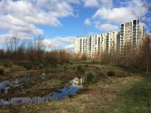 Olympic Park SuDS, Credit: author