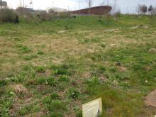 brownfield land, mountain bike trail, Olympic Park